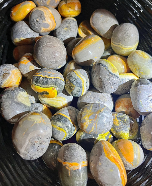 Bumblebee Jasper Tumbles