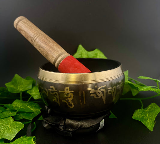 Tibetan Singing Bowl 4" With Cushion And Striker