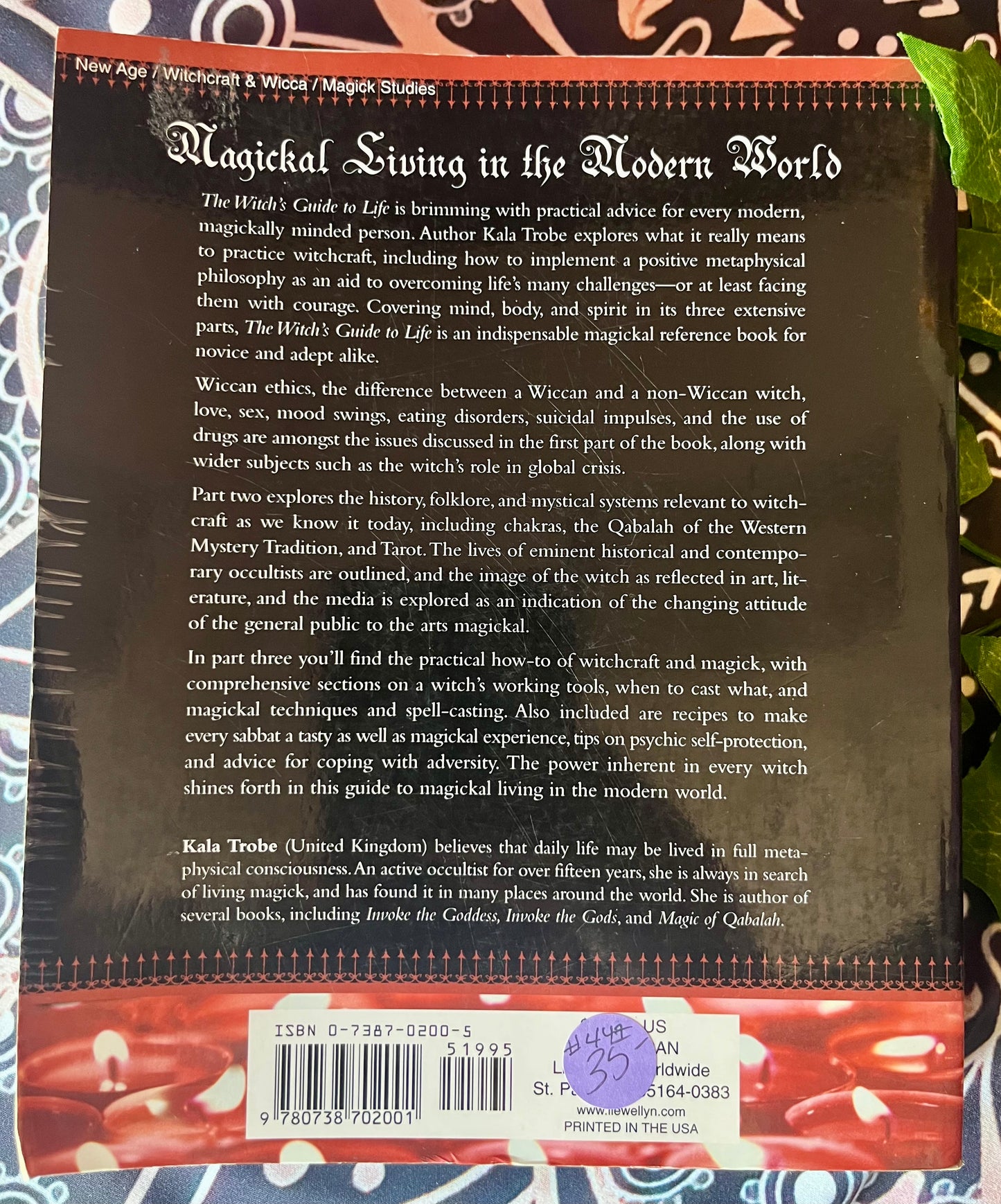 Witches Guide to Life - Paperback