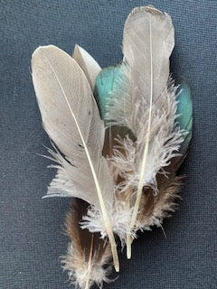 Smudge Feathers
