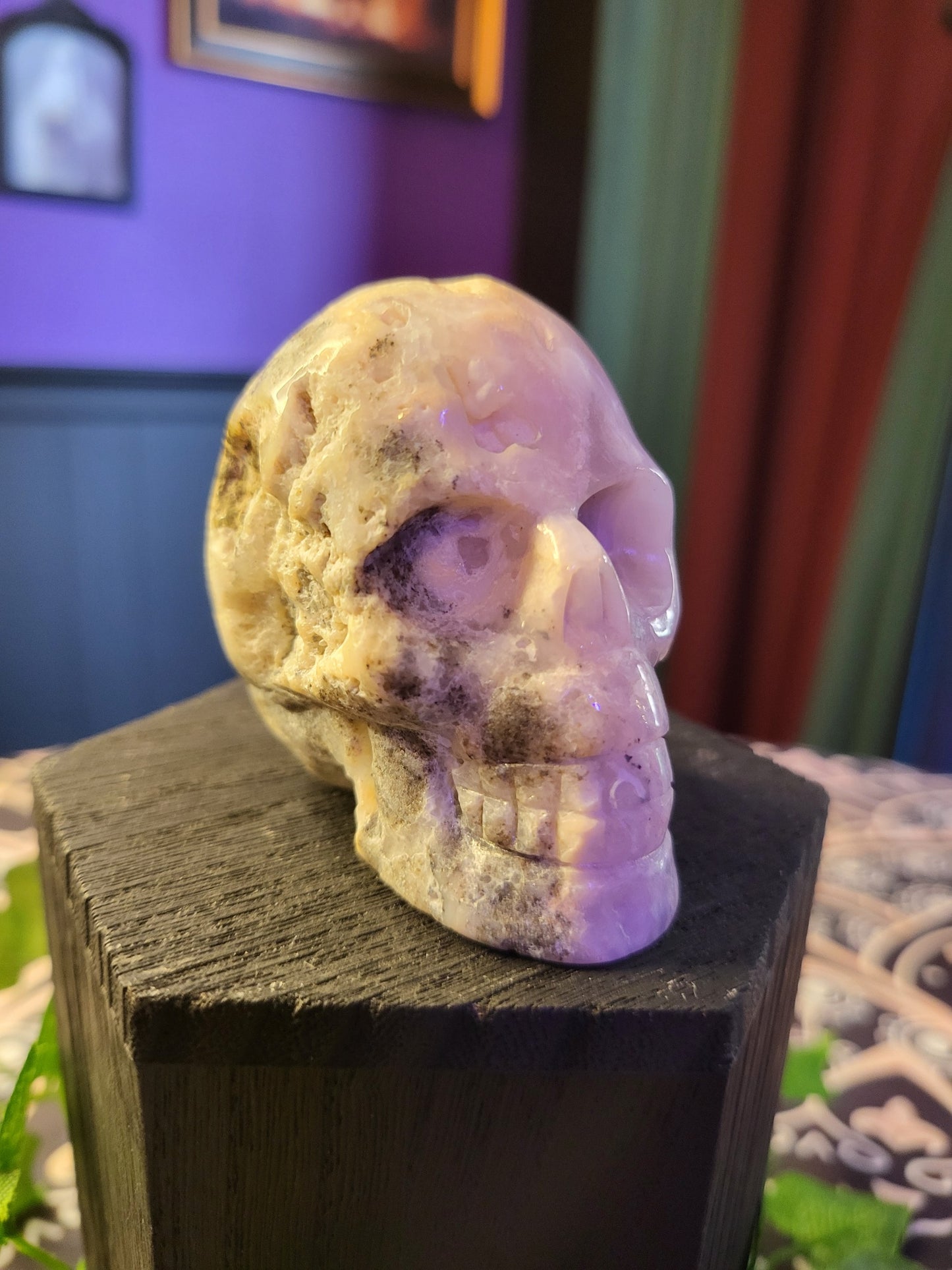 Crazy Lace Agate Skull