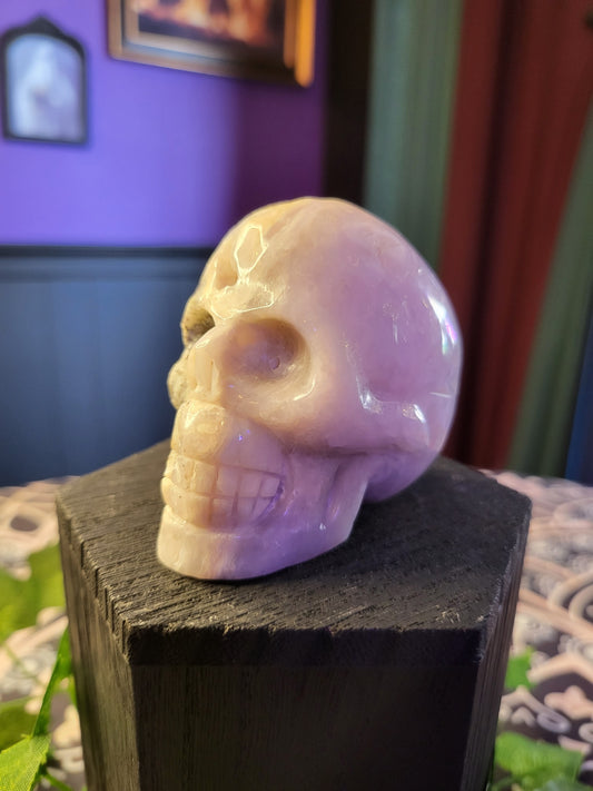 Crazy Lace Agate Skull