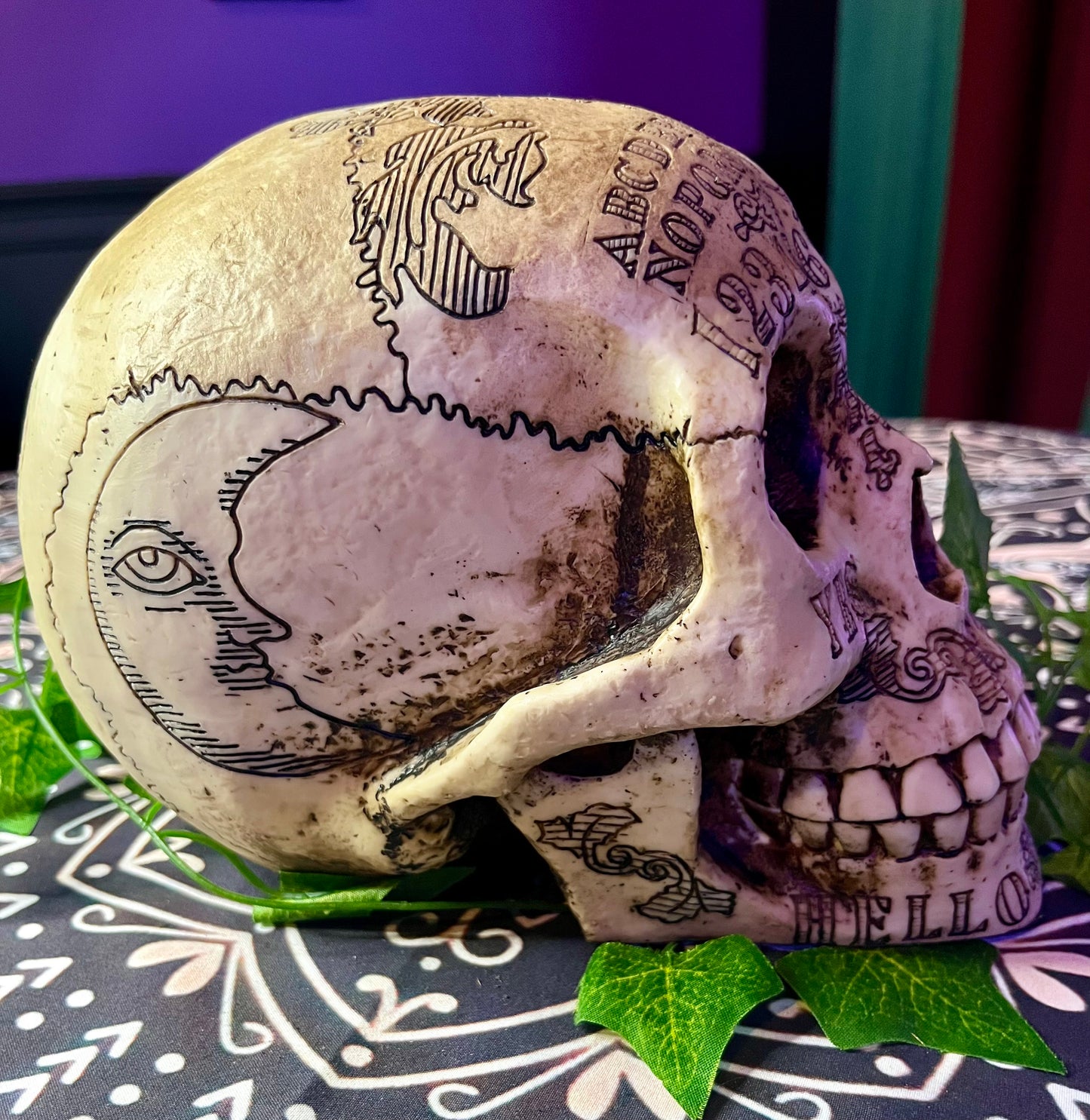 Acrylic Skull - Large