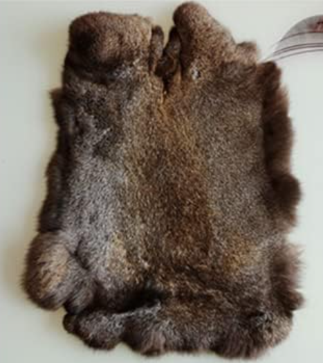 Rabbit Hide/Fur 10" X 14"