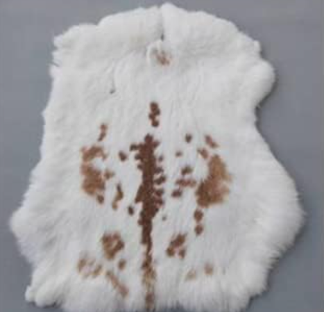 Rabbit Hide/Fur 10" X 14"