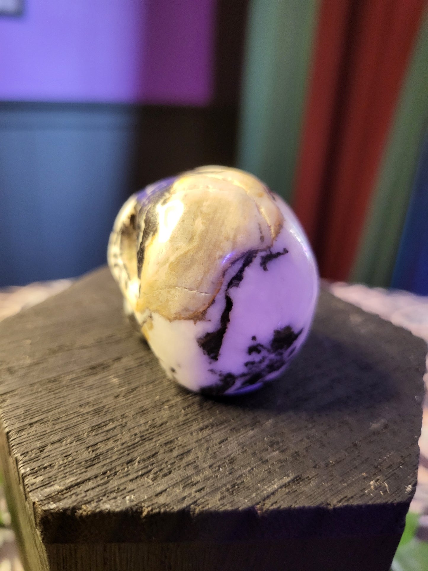 Zebra Jasper Skull Small