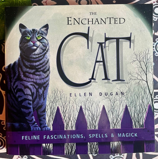 The Enchanted Cat