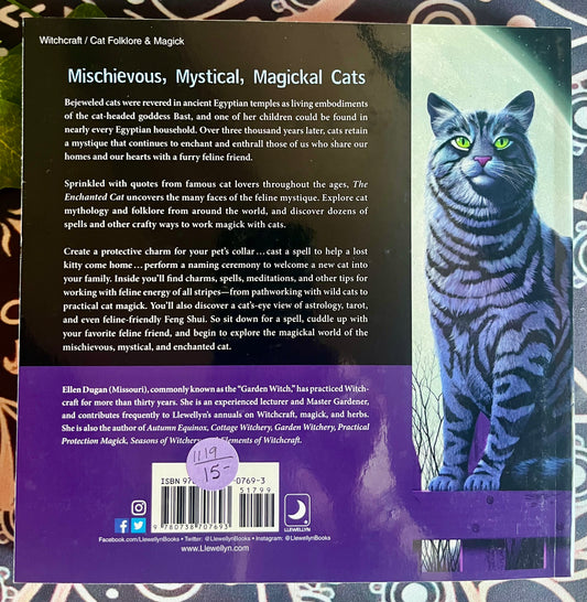 The Enchanted Cat