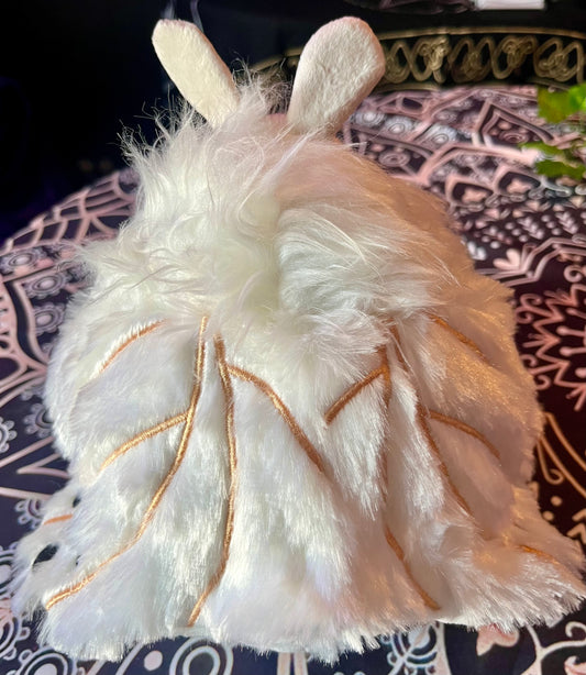 Poodle Moth