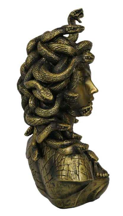 Madusa Bust
