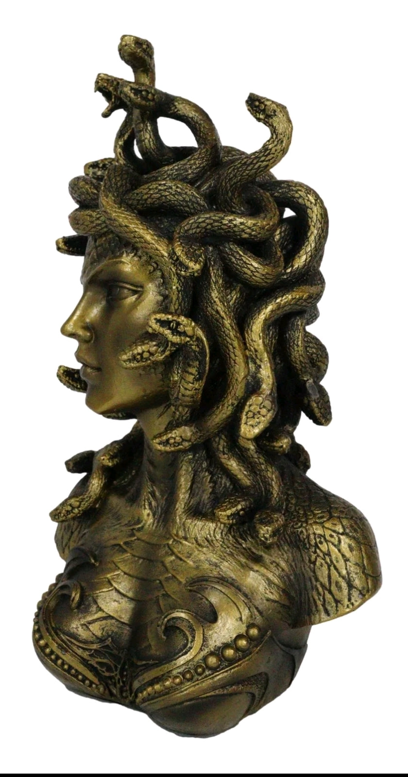 Madusa Bust