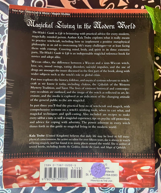 Witches Guide to Life - Paperback