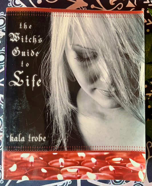Witches Guide to Life - Paperback