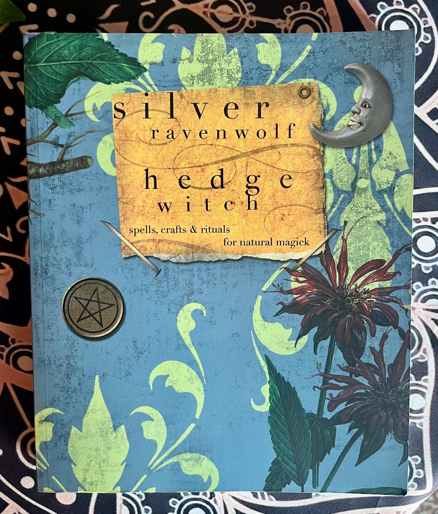 Hedge Witch Paperback