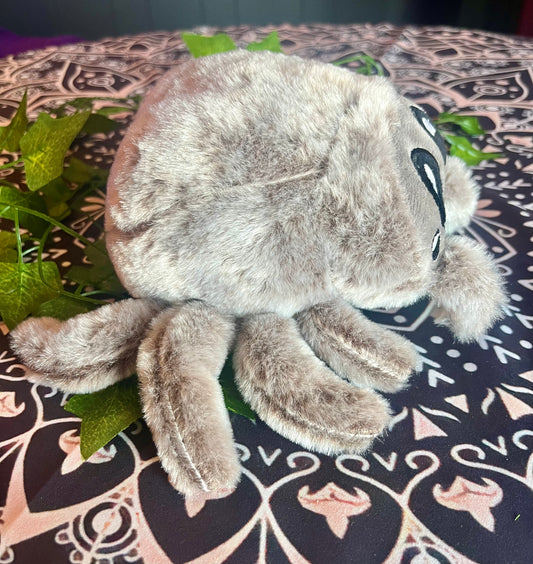 Spencer the Jumping Spider Plushie