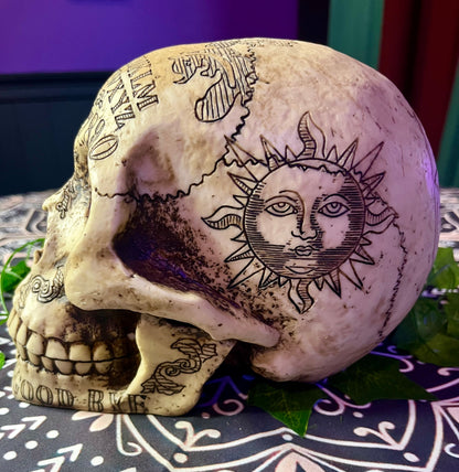 Acrylic Skull - Large