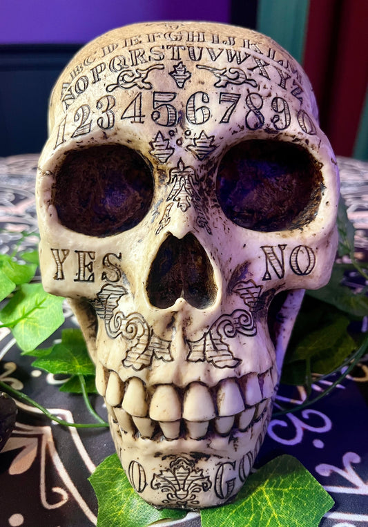 Acrylic Skull - Large