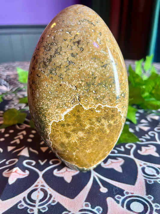 Ocean Jasper Free Form