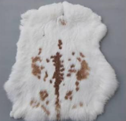 Rabbit Hide/Fur 10" X 14"