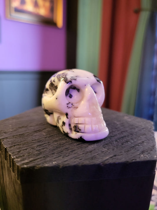 Zebra Jasper Skull extra small