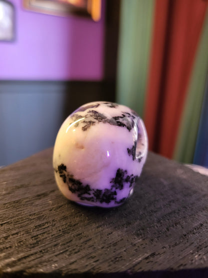 Zebra Jasper Skull extra small
