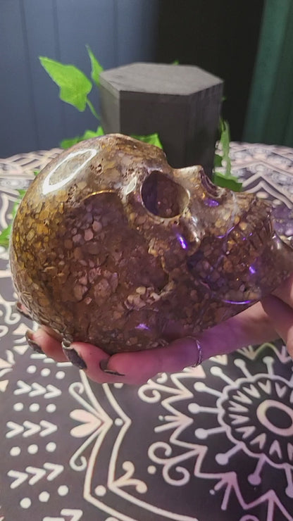 Coffee Opal Skull